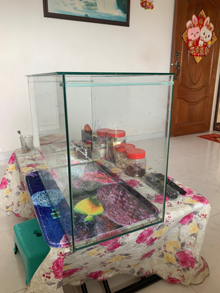 2ft fish tank, Pet Supplies, Homes & Other Pet Accessories on Carousell