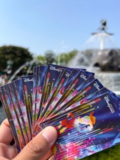 香港迪士尼入場飛門票/年票/ Hongkong Disneyland ticket 