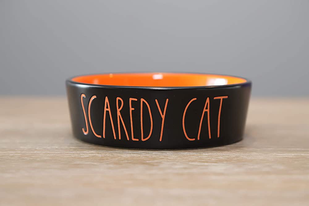 Rae dunn 2025 halloween cat bowls