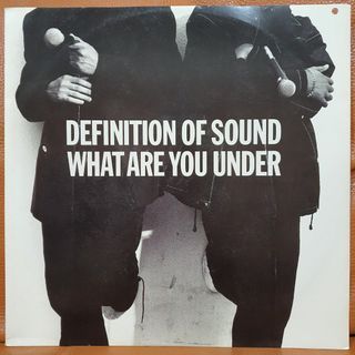Definition Of Sound - What Are You Under vinyl record LP