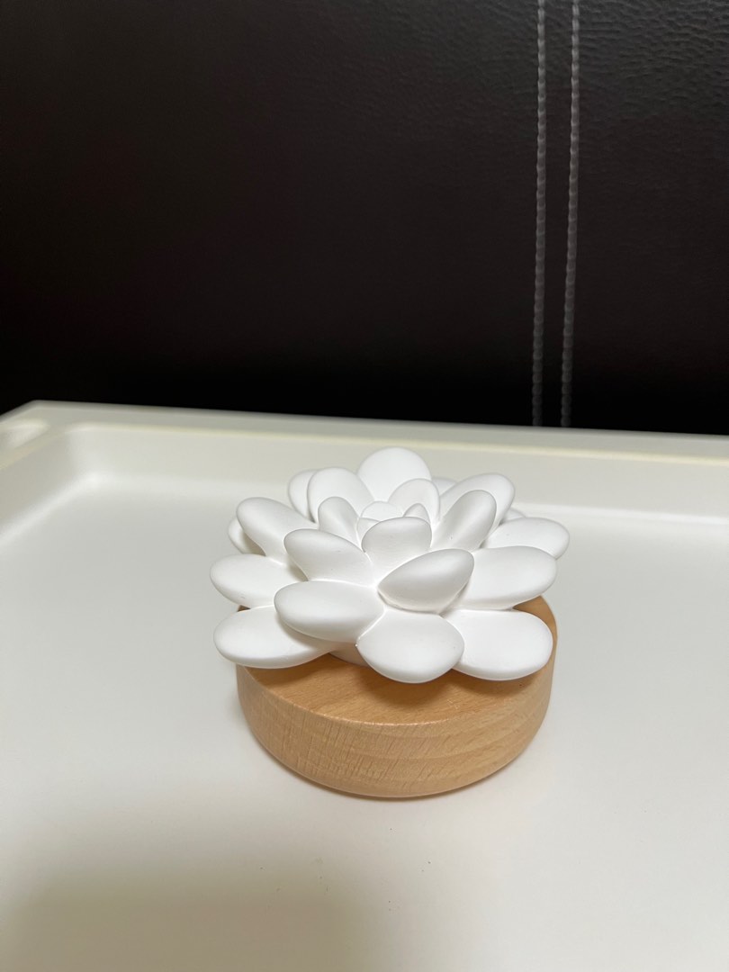 Doterra Desert Bloom Passive Diffuser , Furniture & Home Living, Home Fragrance on Carousell