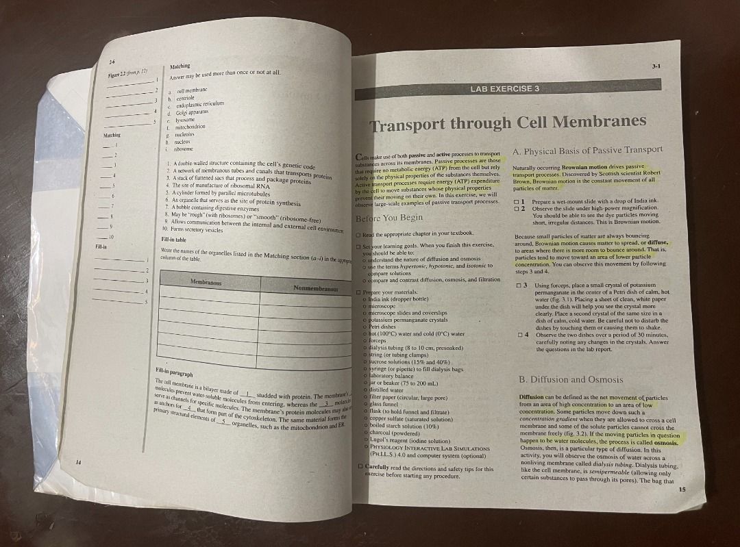 SEELEY S ESSENTIALS OF ANATOMY AND PHYSIOLOGY 8TH EDITION visual data 5
