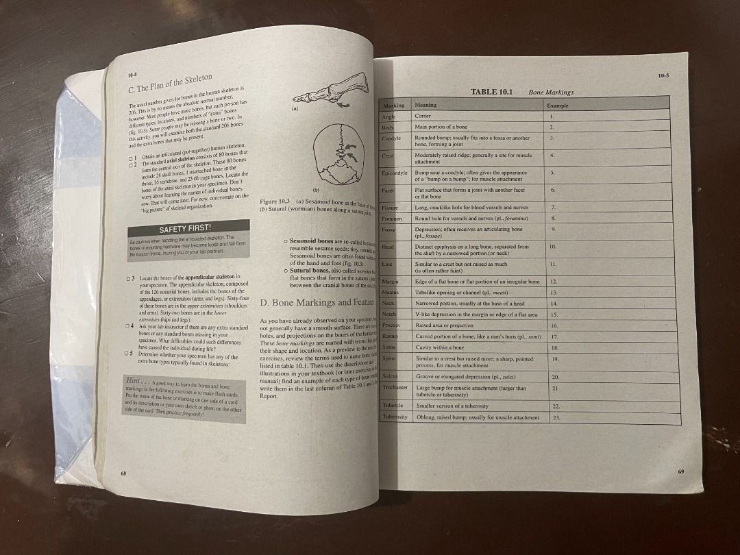 SEELEY S ESSENTIALS OF ANATOMY AND PHYSIOLOGY 8TH EDITION PDF visual data 5