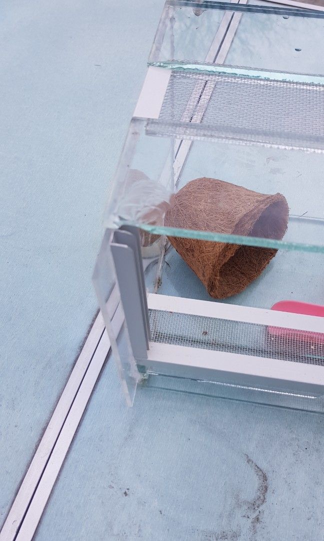 Exotic Tarantula Reptile Item Keeping Enclosure (Category: Homes & Other Pet Accessories) located in Manila. Submitted by hola.torres (Listing ID 1217296575, Image 3). Description: All in po.. walang tingi.. no swap.. need cash.. Pick up lang. Kasi baka mabasag kung di same day delivery. Pwede din Lalamove.. STRICTLY PAY FIRST BEFORE SHIPPING, wag makulit. 1. GLASS ENCLOSURE- ISSUE: ginawa ko lang ung 2 sides using acrylic.. kasi nung inorder ko 