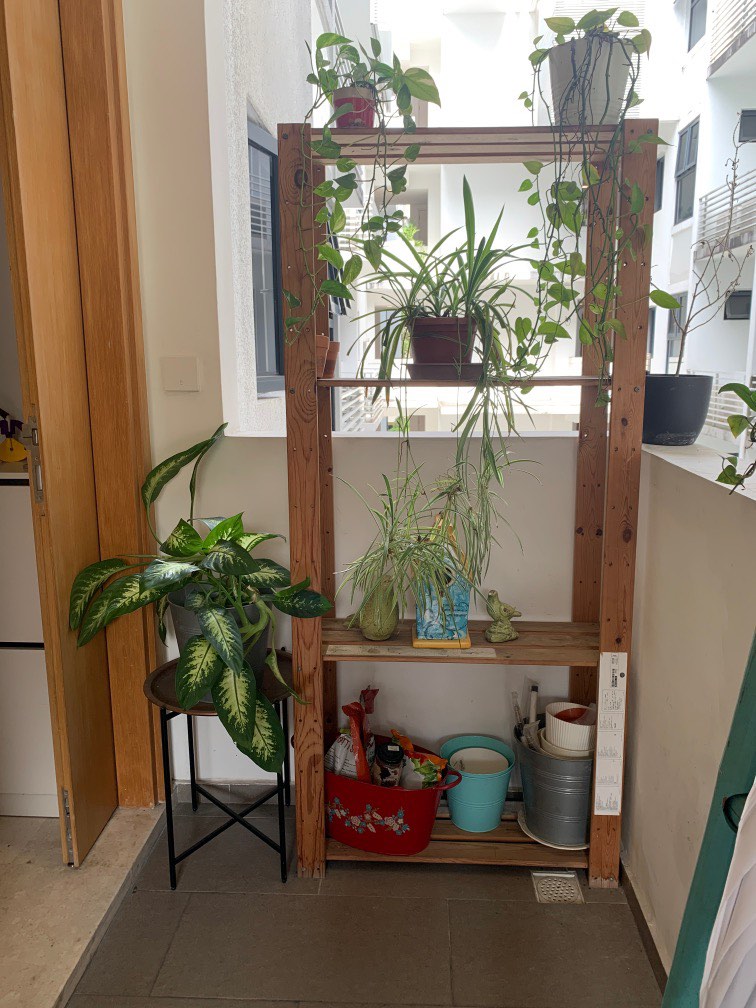 Ikea shelving ladder, Furniture & Home Living, Home Improvement