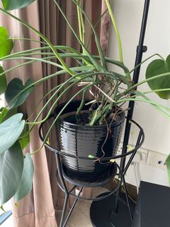 (Category: ) located in . Submitted by mattt57 (Listing ID 1217252606, Image 1). Description: .