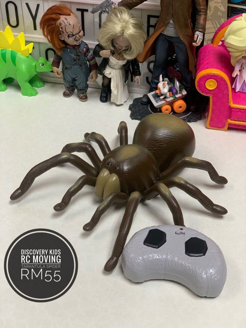 Rc top tarantula discovery