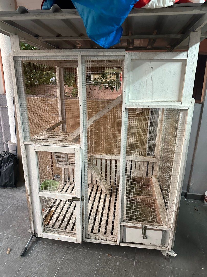 Rumah Kucing Outdoor, Pet Supplies, Homes & Other Pet Accessories on