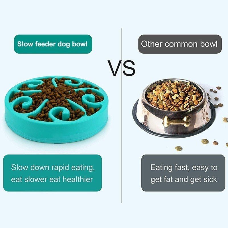 Slow feeder bowl for medium size dog/large dog, Pet Supplies, Pet Food