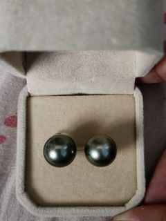 Authentic Southsea Pearl AAA 12.2mm Stud Gray 18k White Gold Earring