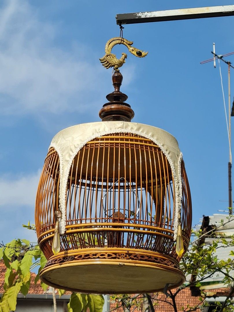 Terkukur bird cage, Pet Supplies, Homes & Other Pet Accessories on