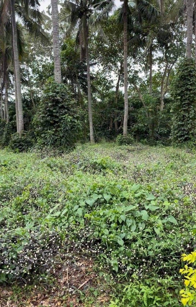 Tierra Maria Lipa City on Carousell