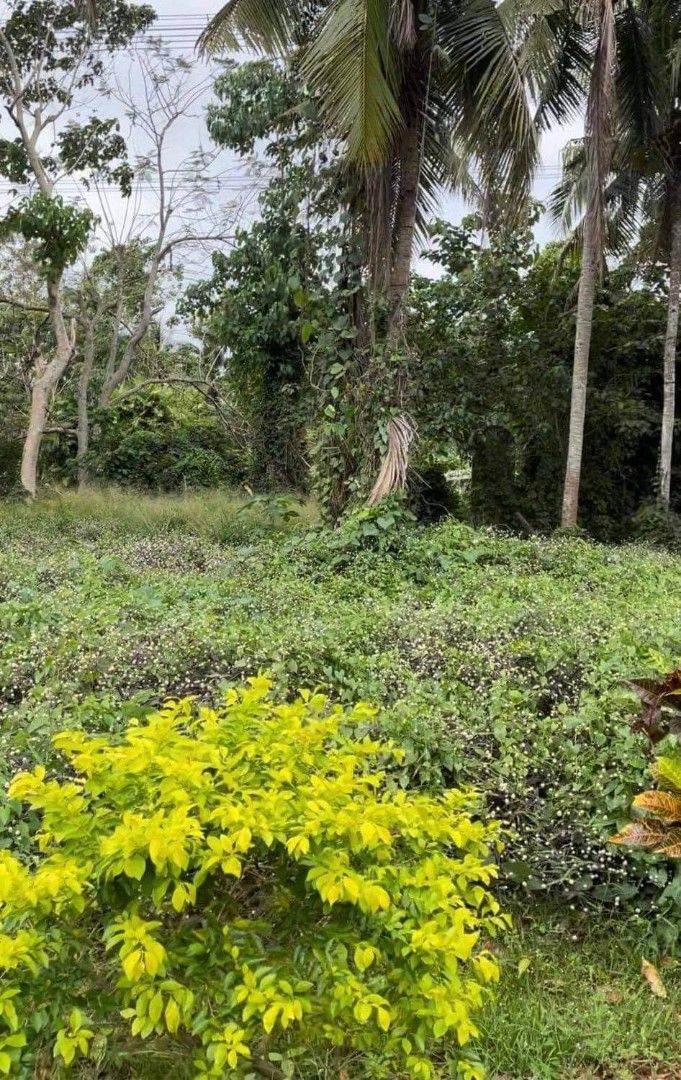 Tierra Maria Lipa City on Carousell