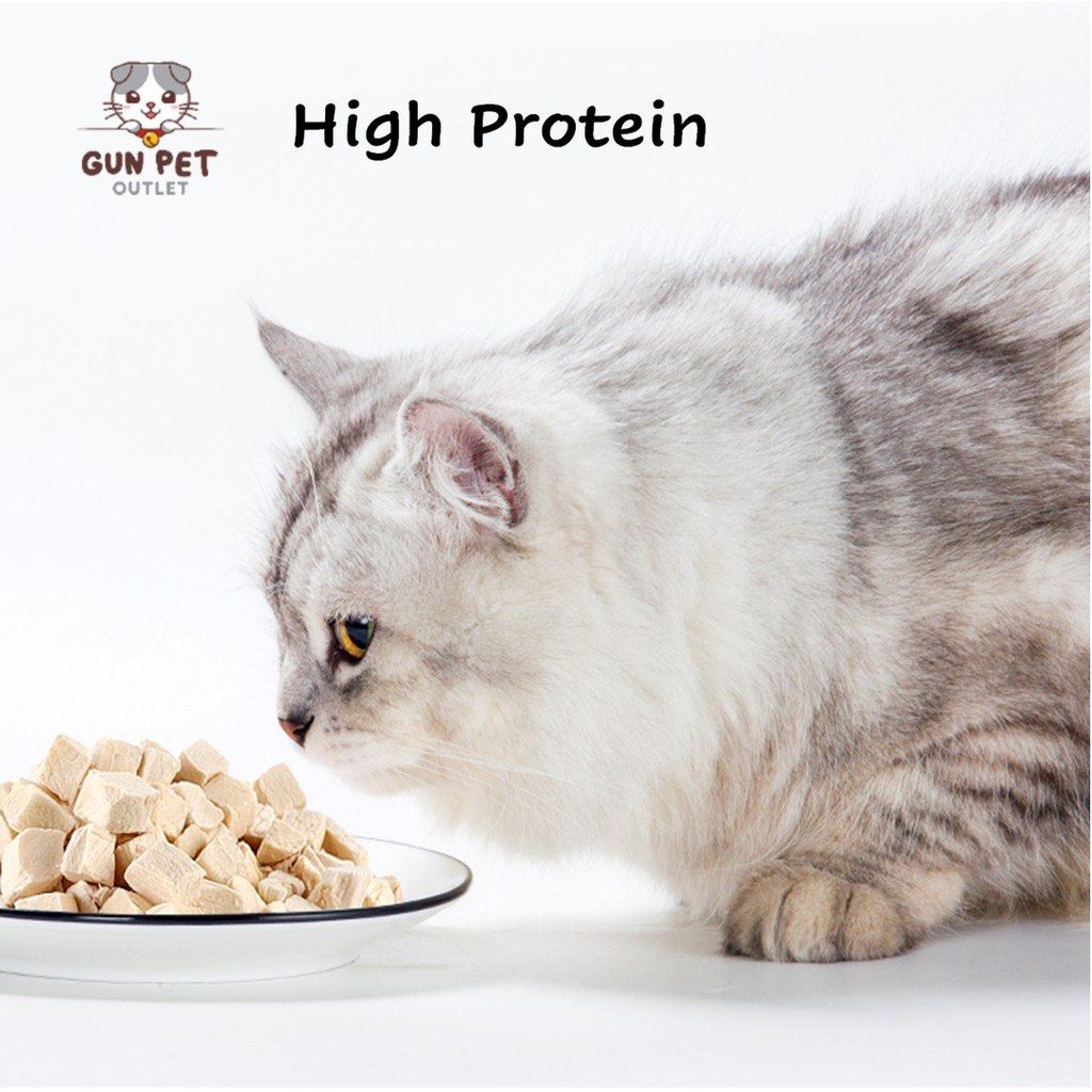 5 Gram Booster Freeze Dried Chicken Salmon Fish Krill Pet Treat High Protein Makanan Kucing Cat Dog Pet Supplies Pet Food on Carousell