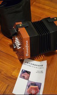 六角手風琴 英式 English Concertina 48 keys