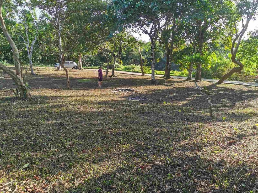 Alfonso Cavite Residential/Farm Lot For Sale, Property, For Sale, Lot