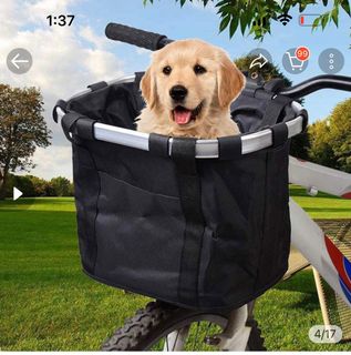 (Category: ) located in . Submitted by calistatll (Listing ID 1217464201, Image 1). Description: .