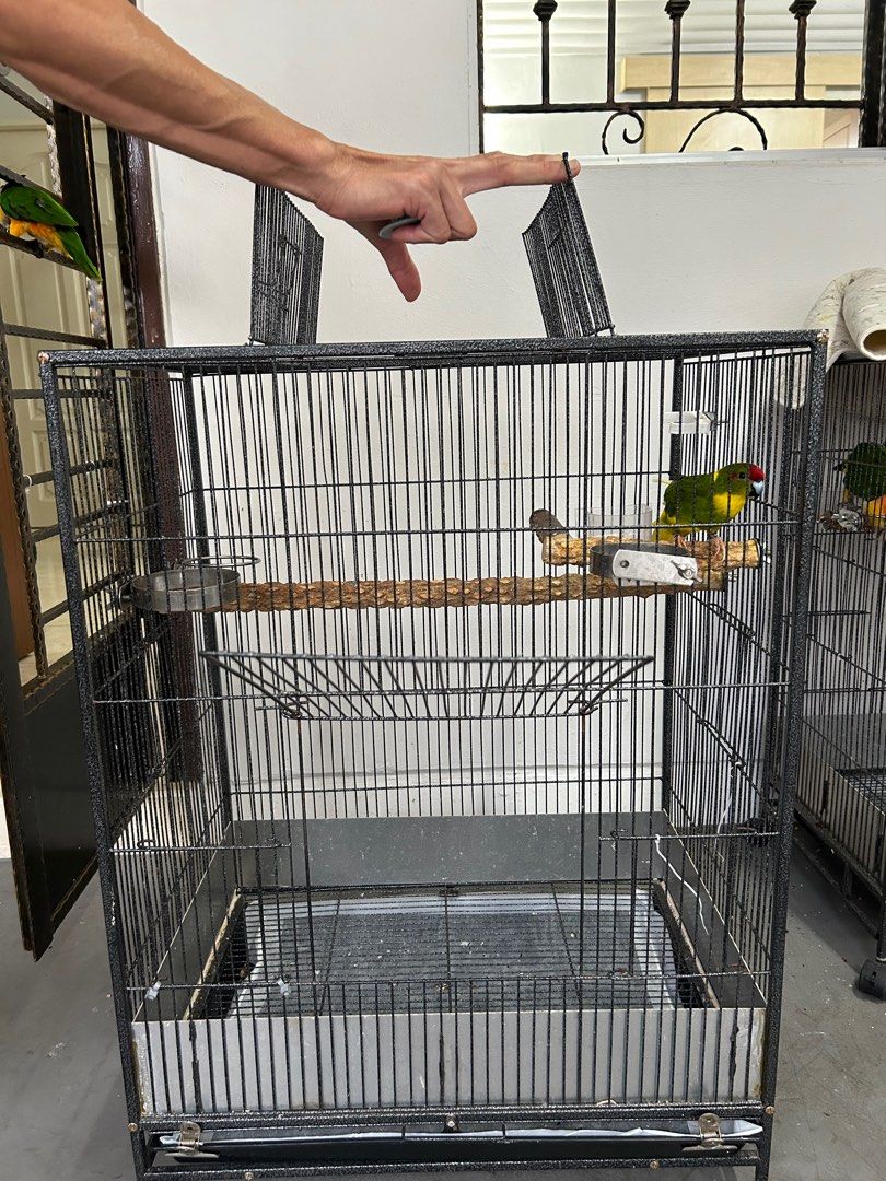 Bird cage for sale cartimar sales