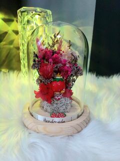 (Category: ) located in . Submitted by qqblooms (Listing ID 1217478484, Image 1). Description: .