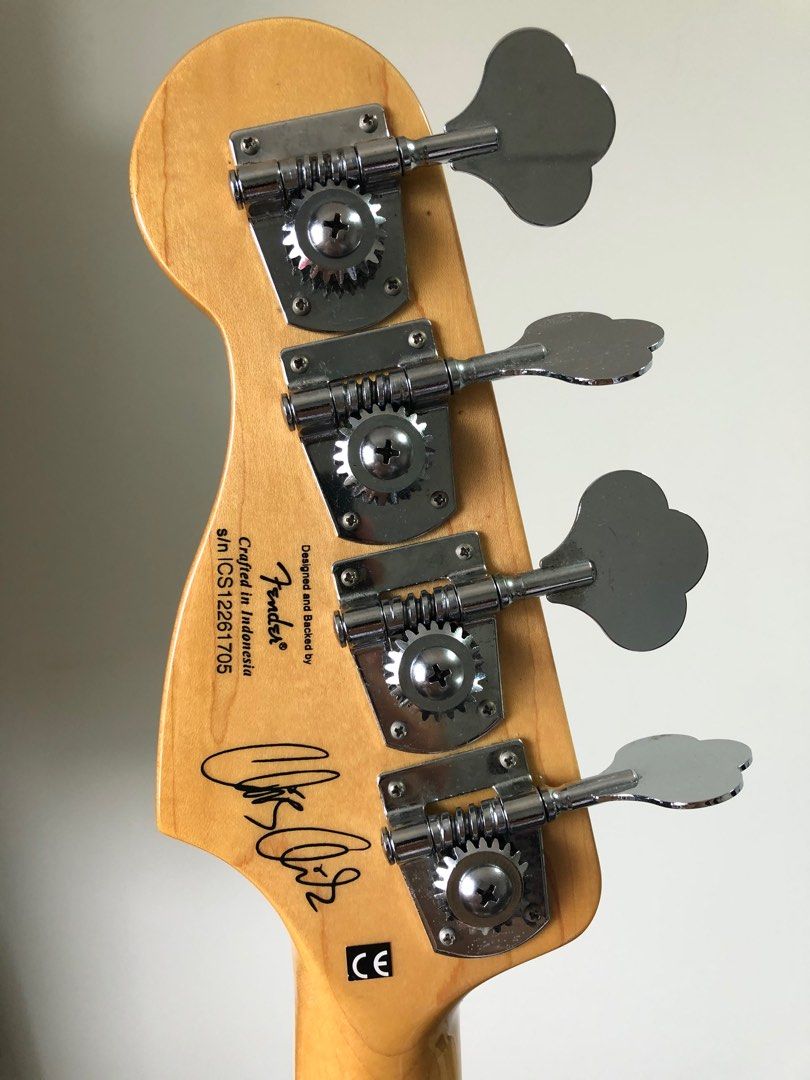 Fender Squier precision bass signature series Chris aiken strung