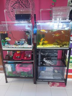 (Category: ) located in . Submitted by cantikmenarik (Listing ID 1217485375, Image 1). Description: .