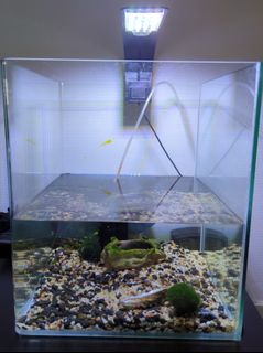 (Category: ) located in . Submitted by kk27 (Listing ID 1217454677, Image 1). Description: .
