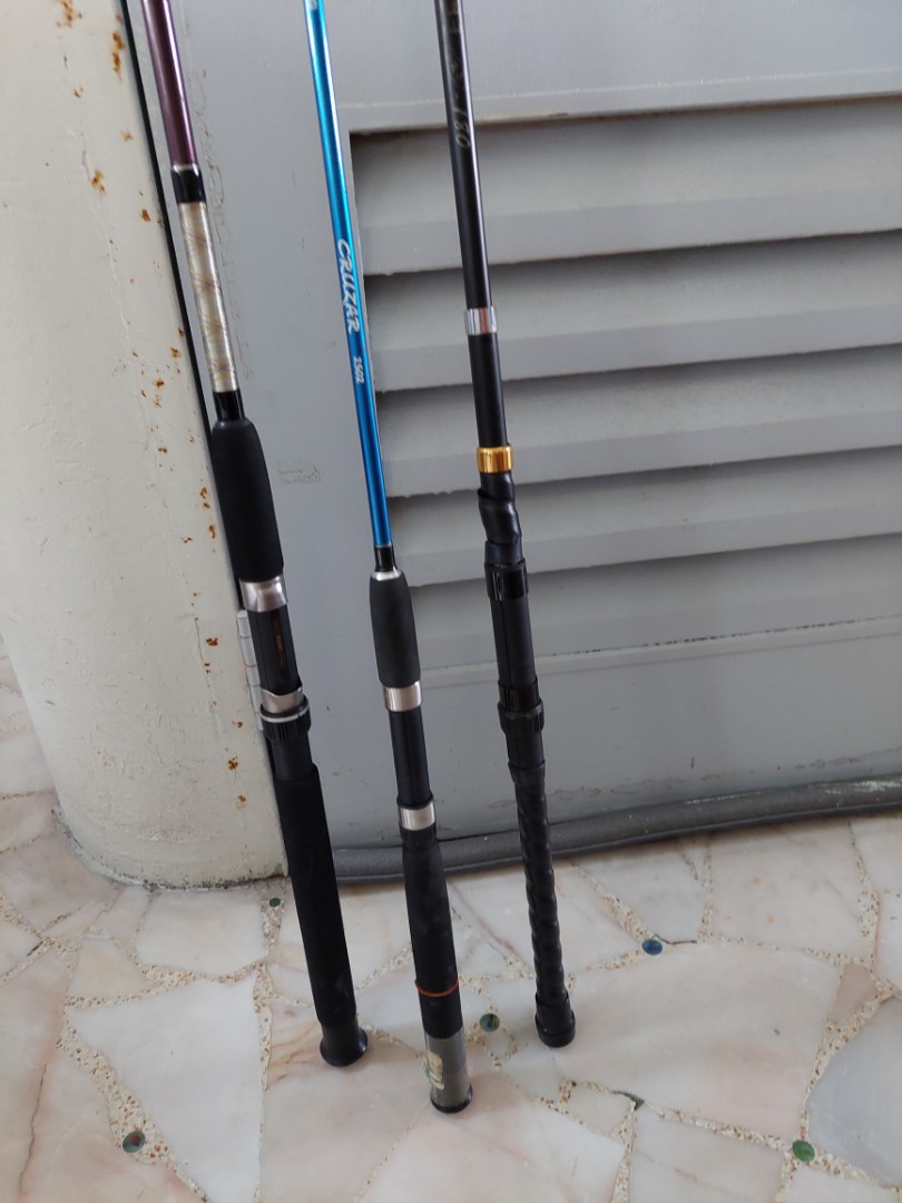 Fishing Rods, Sports Equipment, Fishing on Carousell