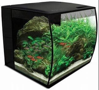 （分類：）位於 。 由 ray321123 提交（商品編號 1217571565，圖片 1）。簡介： 。