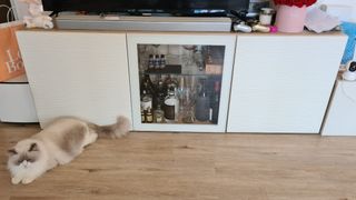 (Category: ) located in . Submitted by ibyethings (Listing ID 1217462218, Image 1). Description: .