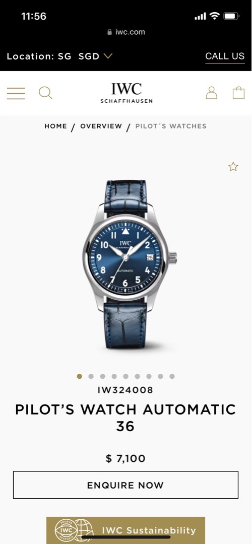 Iwc female deals