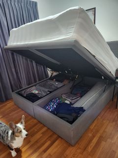 (Category: ) located in . Submitted by onlineshopping91 (Listing ID 1217580067, Image 1). Description: .