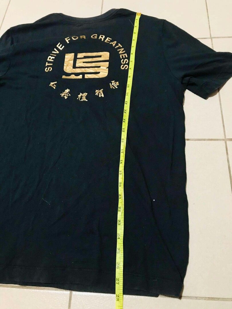 RARE Nike Lebron James Lion Witness Unleashed T-Shirt Size L Black