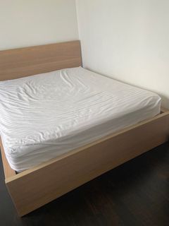(Category: ) located in . Submitted by polarcookbook (Listing ID 1217420425, Image 1). Description: .