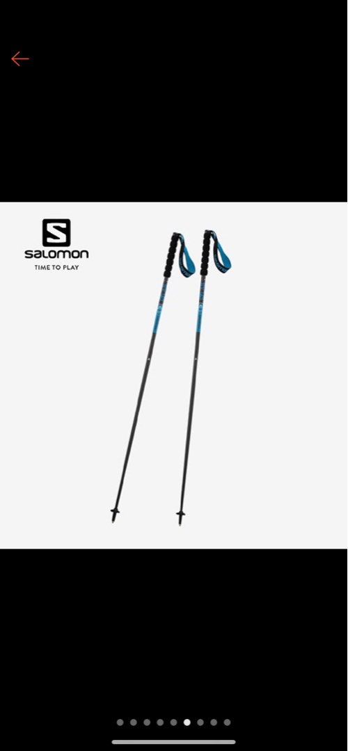 Salomon Sense Trekking/Ski pole Black, Sports Equipment, Hiking