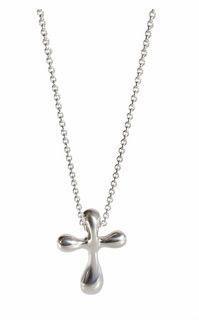 Tiffany & Co. Elsa Peretti 925 Silver Necklace 「USED 」頸錬