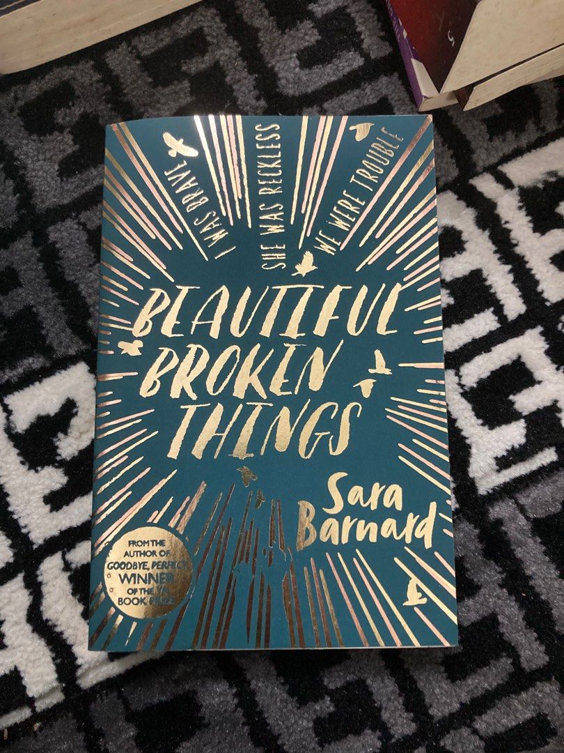 Beautiful broken things cheap