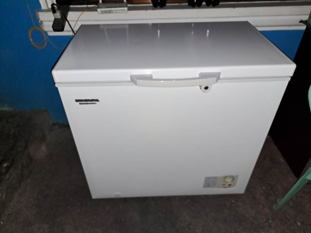 Condura Chest Freezer Inverter 7 cu ft Malaki, Pang negosyo, TV