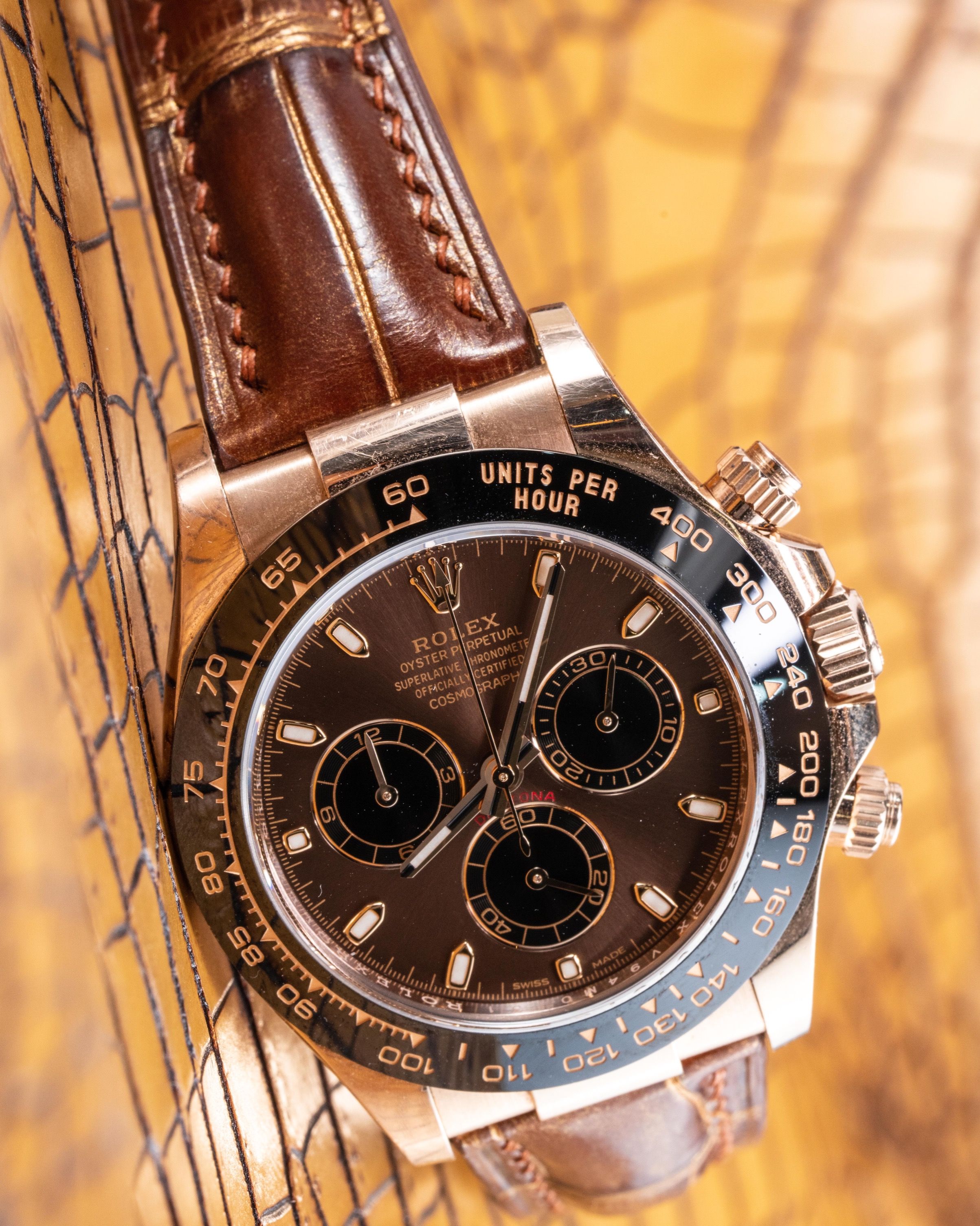 Rolex shop daytona bronze