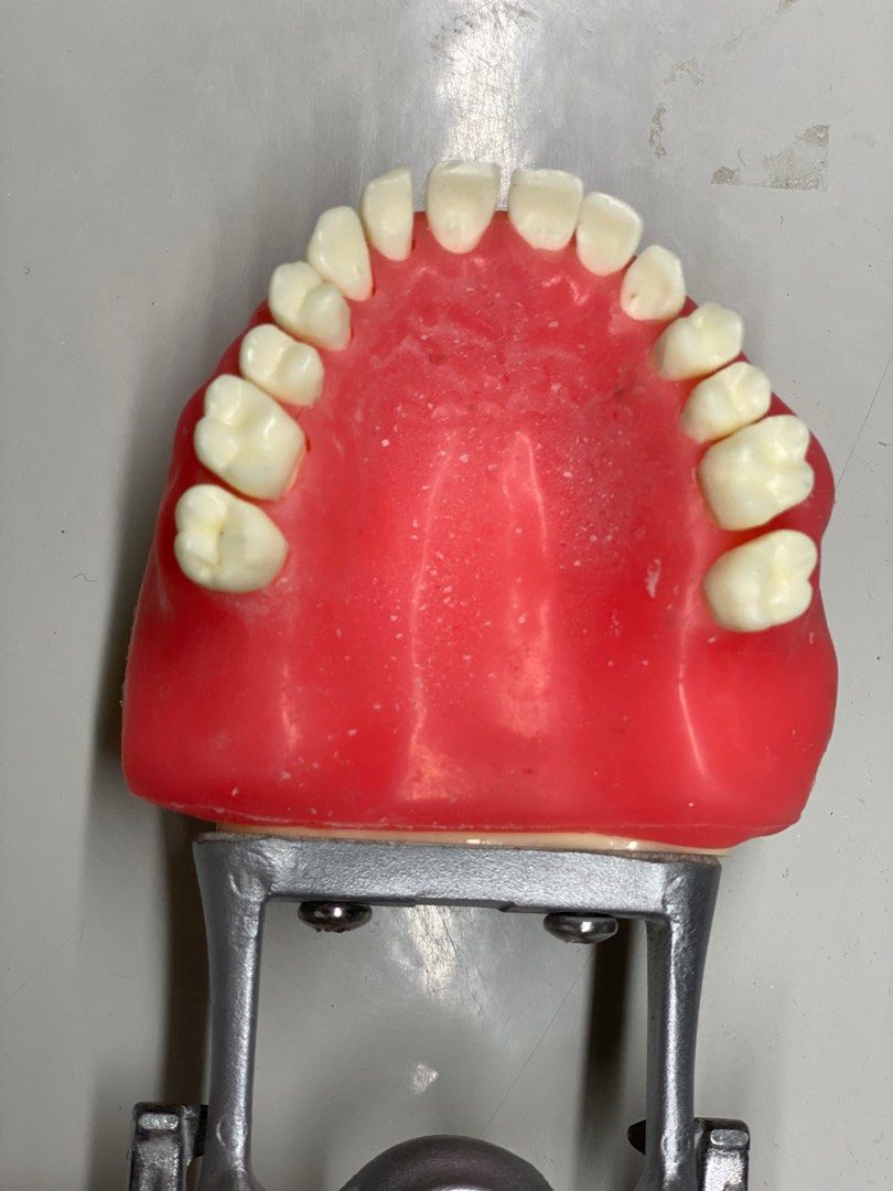 Oral Surgery Typo Model, Hobbies & Toys, Stationary & Craft, Stationery