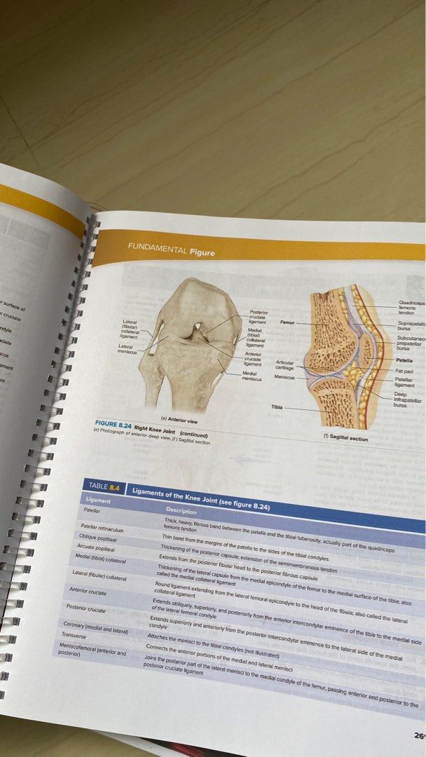 SEELEY S ANATOMY AND PHYSIOLOGY 13TH EDITION CHAPTER 2 visual data 3