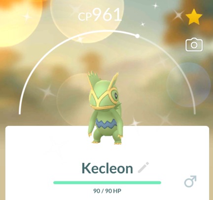 Pokemon Shiny Kecleon Mini P T C 60k
