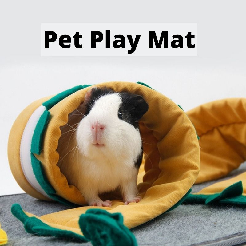 Pet play mat discount