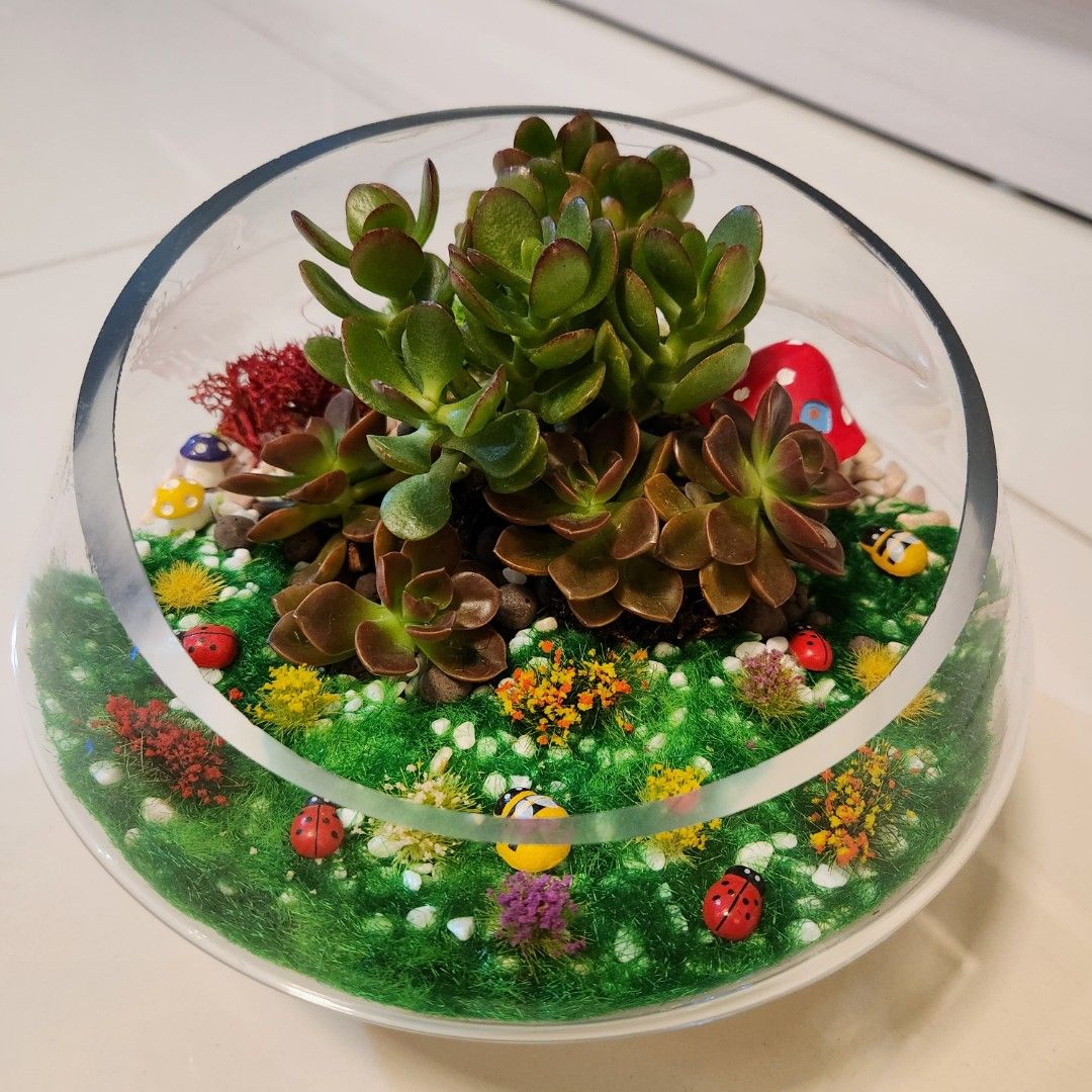 Terrarium, Furniture & Home Living, Gardening, Pots & Planters on Carousell