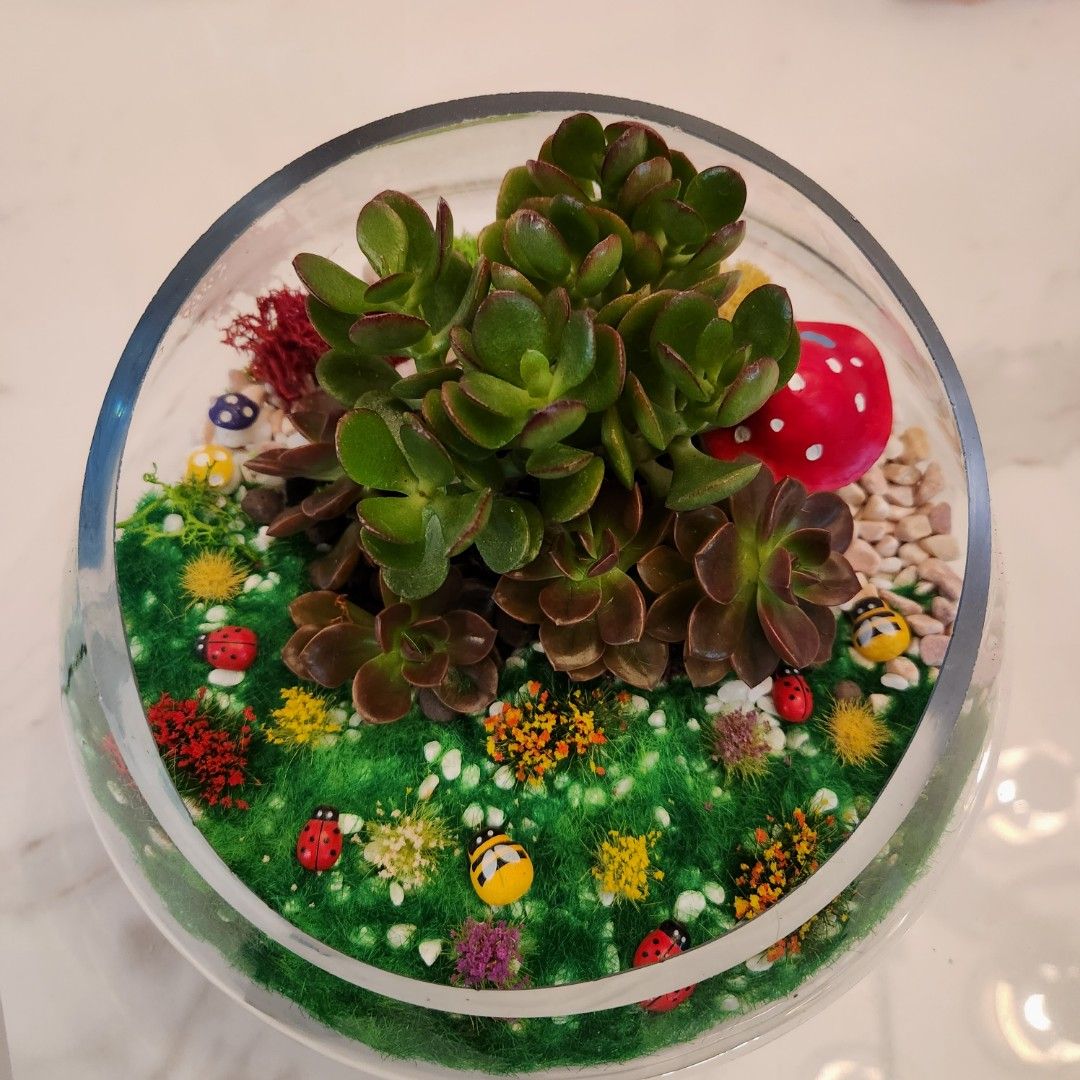 Terrarium, Furniture & Home Living, Gardening, Pots & Planters on Carousell