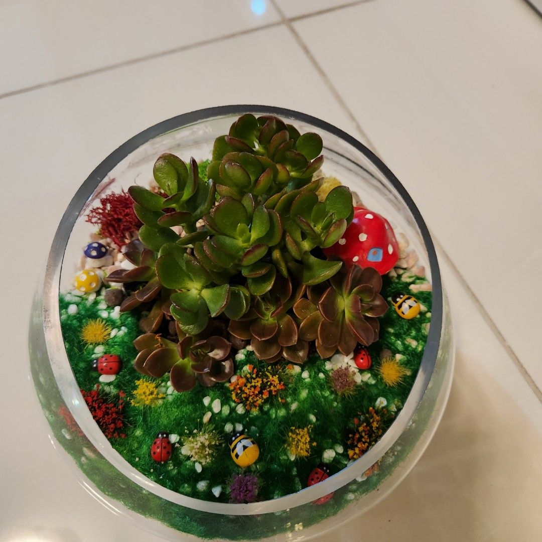 Terrarium, Furniture & Home Living, Gardening, Pots & Planters on Carousell