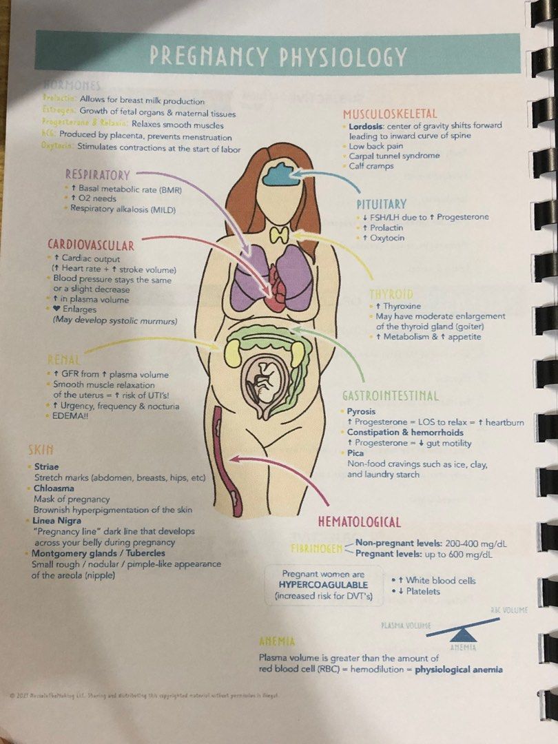 The Complete Nursing School Bundle (Category: Textbooks) located in Manila. Submitted by mgjcy (Listing ID 1217791143, Image 2). Description: Size: Half of A4 Colored No highlights.