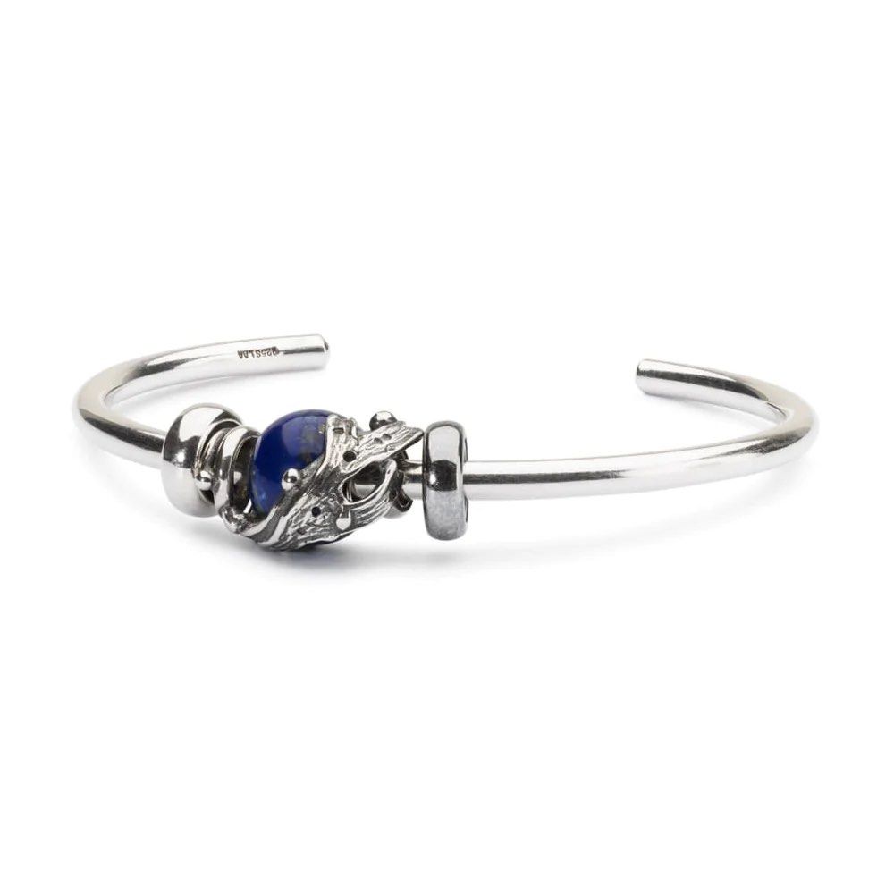 Troll bracelet charms discount