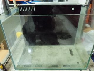 (Category: ) located in . Submitted by annanntan (Listing ID 1217812858, Image 1). Description: .