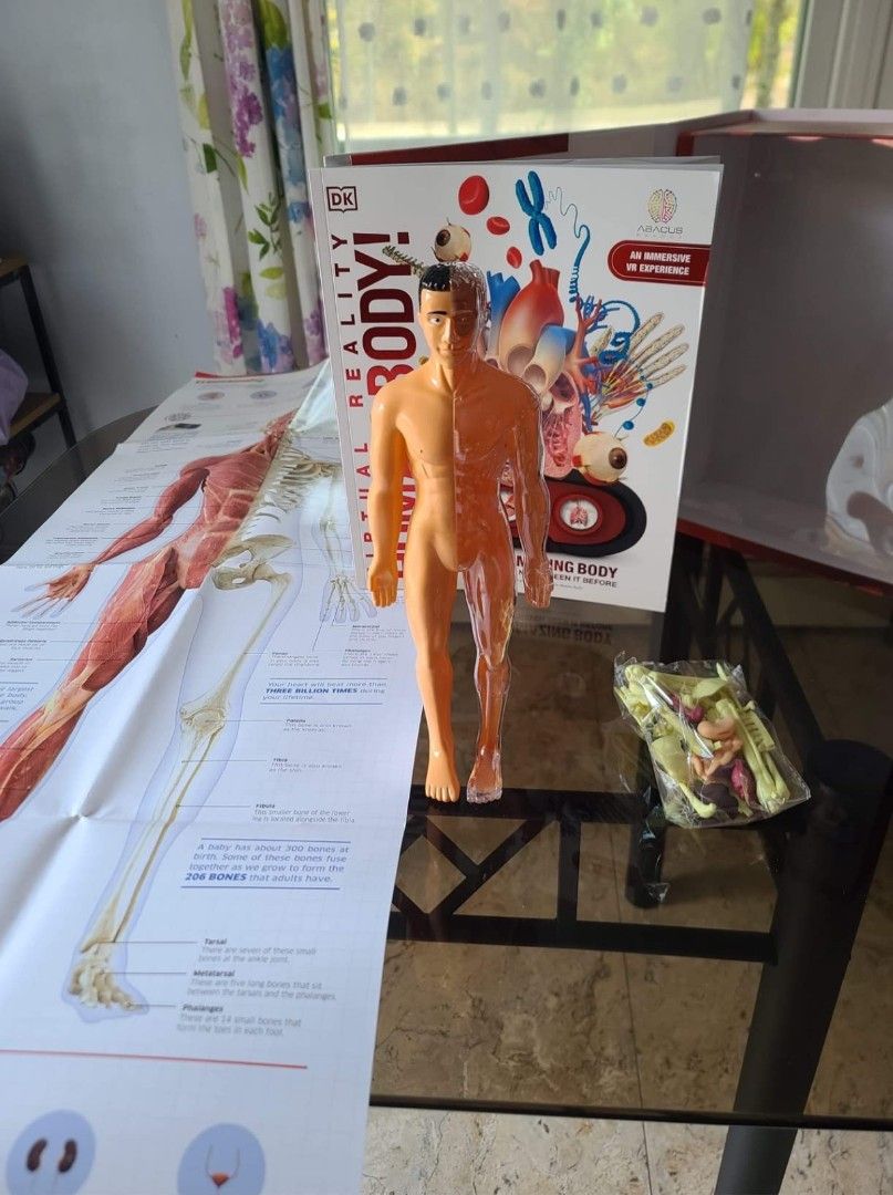 Virtual Reality Human Body (Abacus Brands) Illustrated Interactive VR