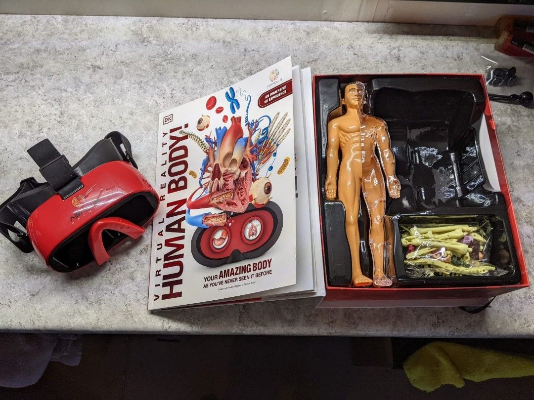 Virtual Reality Human Body (Abacus Brands) Illustrated Interactive VR